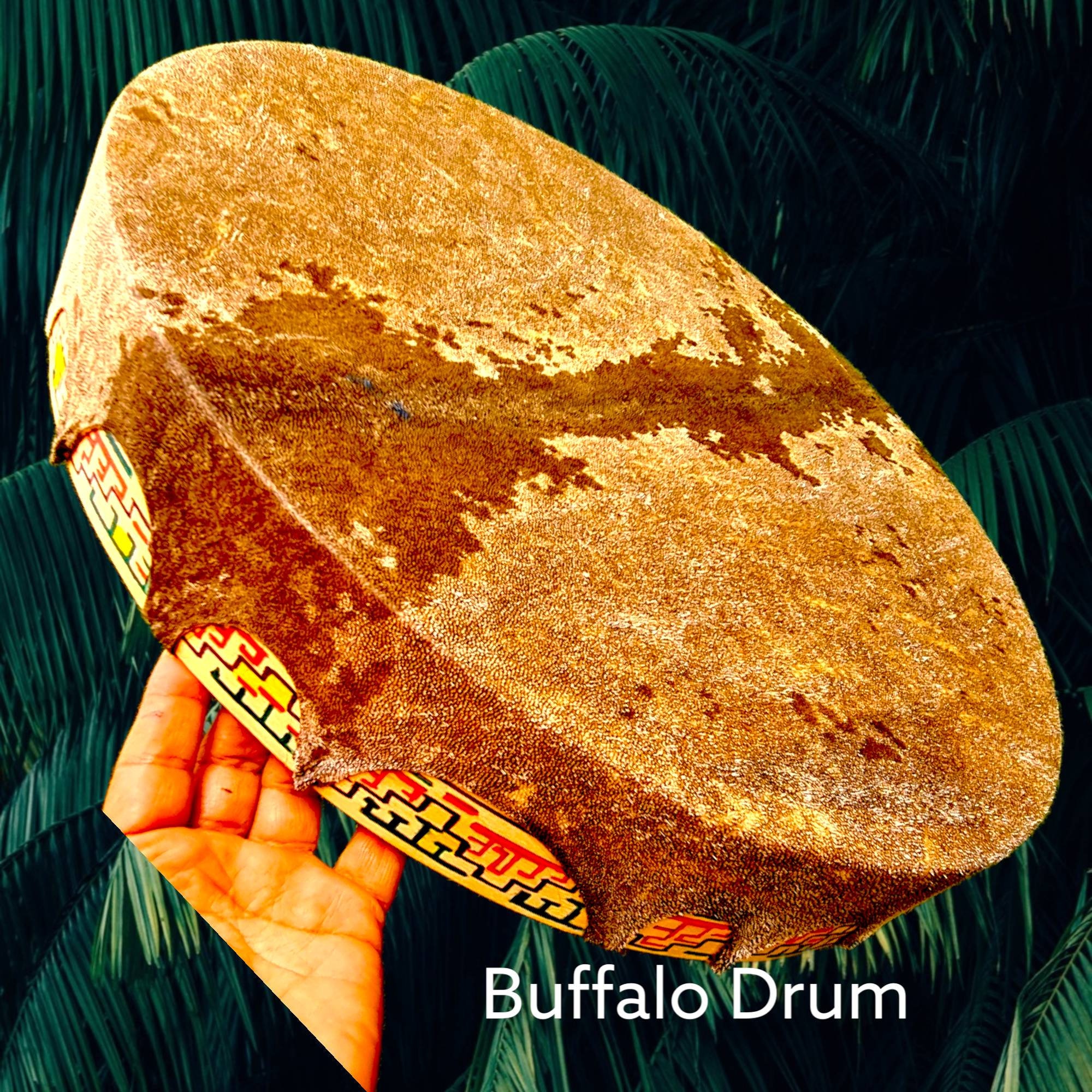 Buffalo Shamanic Drum: Colorful Design, Rounded or Octagon