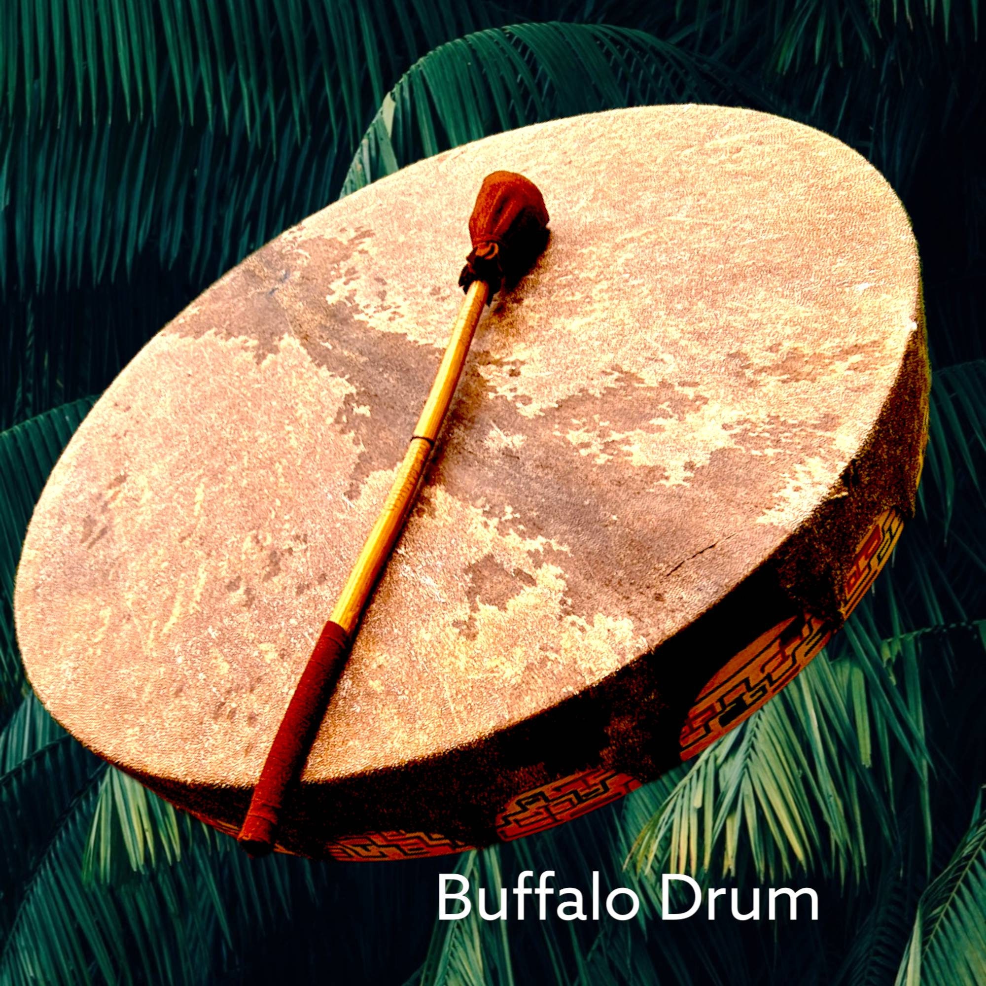 Buffalo Shamanic Drum: Colorful Design, Rounded or Octagon – 18 inches, Black