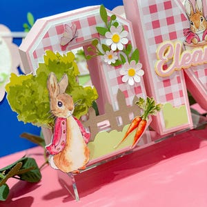 Peter Rabbit 3D Letters or Numbers| Easter Party Theme | Bunny Birthday ...