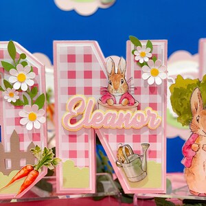 Peter Rabbit 3D Letters or Numbers| Easter Party Theme | Bunny Birthday ...