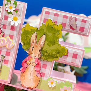 Peter Rabbit 3D Letters or Numbers| Easter Party Theme | Bunny Birthday ...