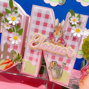 Peter Rabbit 3D Letters or Numbers| Easter Party Theme | Bunny Birthday ...