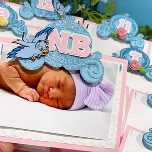 Landscape Frame | Cinderella Birthday Banner | Cinderella Princess Theme Party | Cinderella Monthly Banner | Monthly Milestone Banner