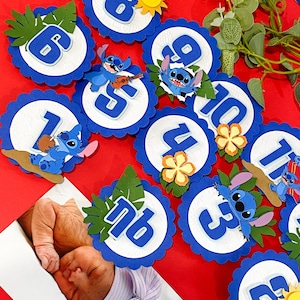 Stitch Monthly Milestone Banner |  Lilo & Stitch Theme Party | Stitch Monthly  Milestone Banner | First Birthday Banner | Summer Theme