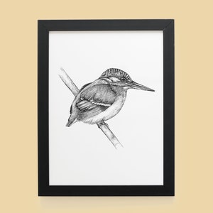 Kingfisher print