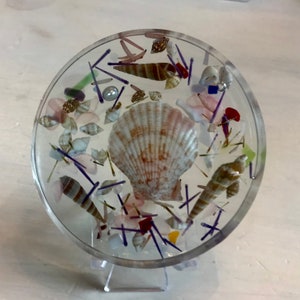 May include: A clear round resin coaster with a large seashell and smaller seashells, purple and green glass pieces, and a pearl in the center.