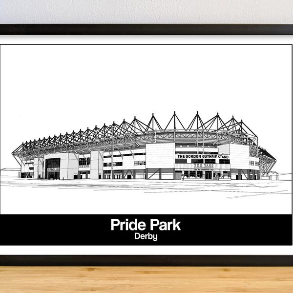 Derby Football Art Print of Pride Park, Poster, Picture