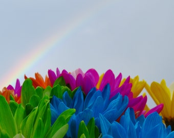 Rainbow Over Rainbow Flowers Digital Print