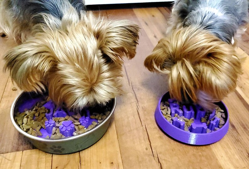Custom Paw Slow Feeder Dog Bowl Insert Personalized Cat Dish Etsy