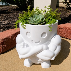 May include: A white planter shaped like a muscular figure with arms crossed over its chest. The planter features a smooth finish, circular eyes, and a small curved mouth. It is filled with a green succulent plant and small trailing foliage.