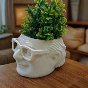 Danny DeVito Frank Reynolds Planter | It's Always Sunny Gift | Funny 3d Printed