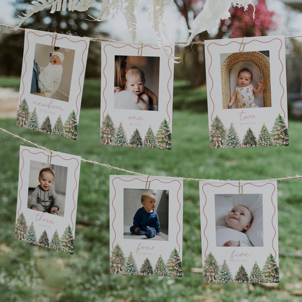 Pink Christmas First Birthday Monthly Photo Banner, Winter 1st Birthday Photo Banner, Milestone Photo Cards, Baby's First Year Photos |BELLE