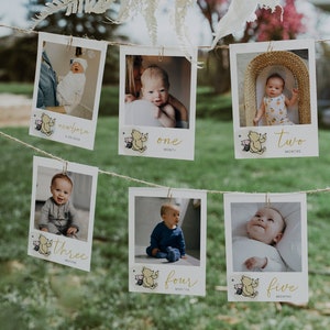 First Birthday Monthly Photo Banner, Winnie the Pooh 1st Birthday Photo Banner, Baby Milestone Photo Cards, Baby's First Year Photos | POOH