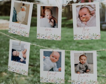 Wildflower First Birthday Photo Banner, Wildflower Girls 1st Year Birthday Photos, Boho Floral 1st Birthday Milestone Cards | BLAIR