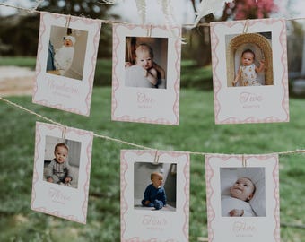 One Silly Goose First Birthday Monthly Photo Banner, Gingham 1st Birthday Photo Banner, Pink Goose Monthly Photo Cards | NOVA