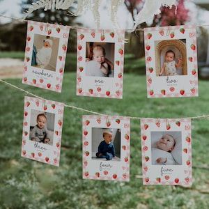 Banner fotográfico mensual del primer cumpleaños de fresa, banner fotográfico del 1er cumpleaños de Berry, tarjetas fotográficas de hitos mensuales, primer año del bebé / BERRY