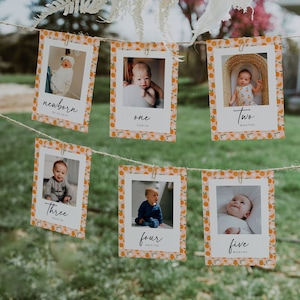 Banner fotográfico mensual del primer cumpleaños de Little Cutie, banner fotográfico naranja del 1er cumpleaños, tarjetas fotográficas de hitos mensuales, primer año del bebé / CUTIE