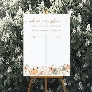 He or She What Will Baby Be Sign Template, Boy or Girl Baby Shower, Gender Reveal Party, He or She Sign, Guess the Gender Sign | HAZEL