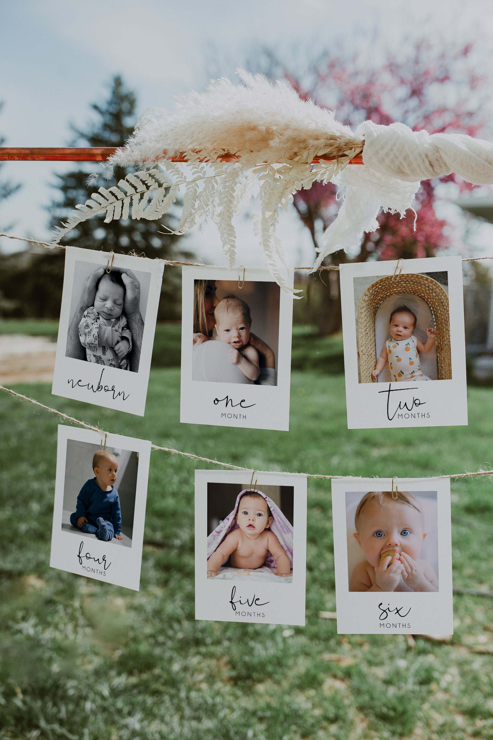 First Birthday Monthly Photo Banner Template, 1st Birthday Photo Bann…