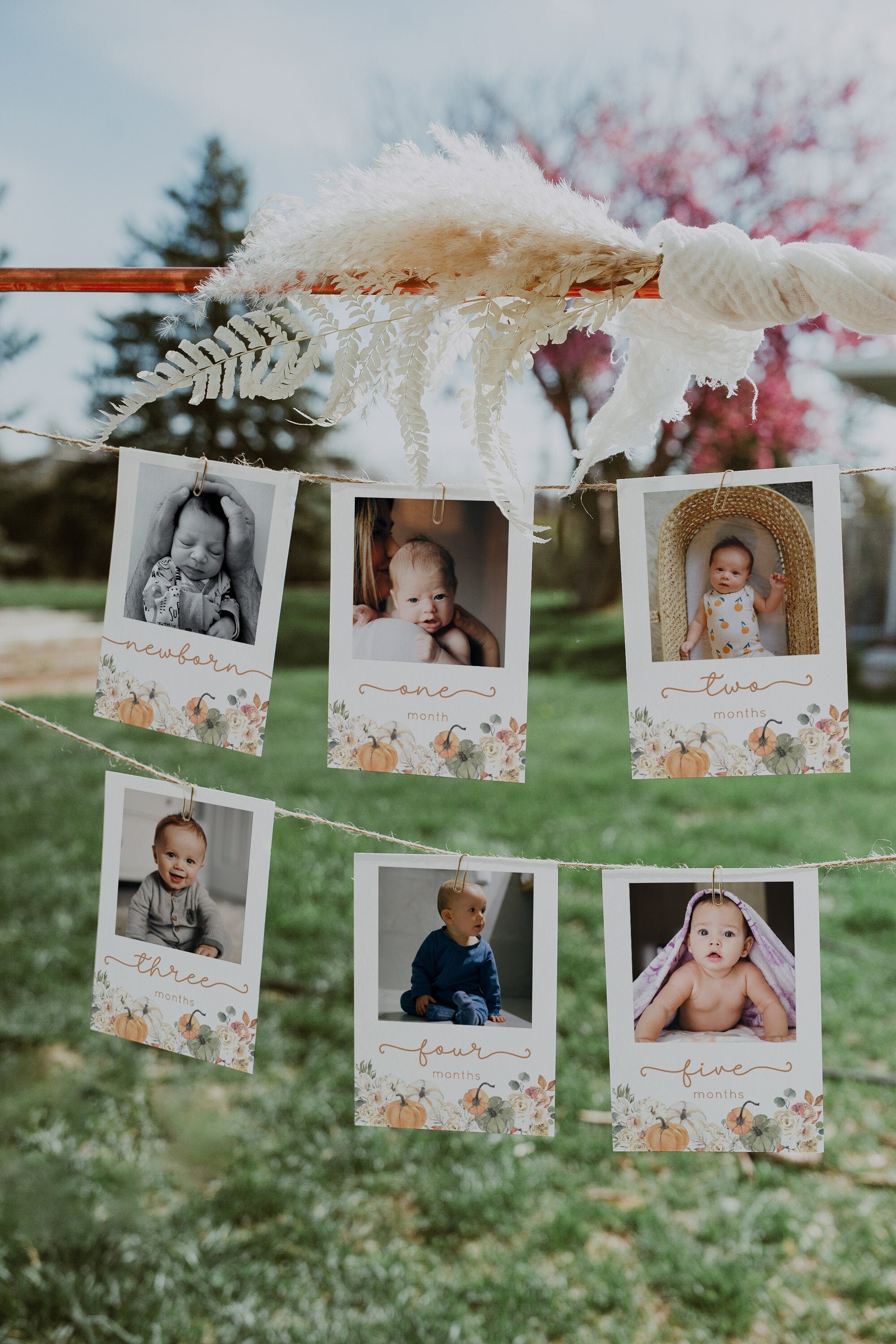 Pumpkin First Birthday Monthly Photo Banner Template, Fall 1st Birthd…
