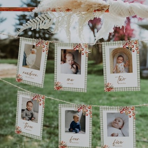 Apple of Our Eye First Birthday Monthly Photo Banner, Apple 1st Birthday Photo Banner, Fall Monthly Milestone Cards, Baby&#39;s First Year |GALA