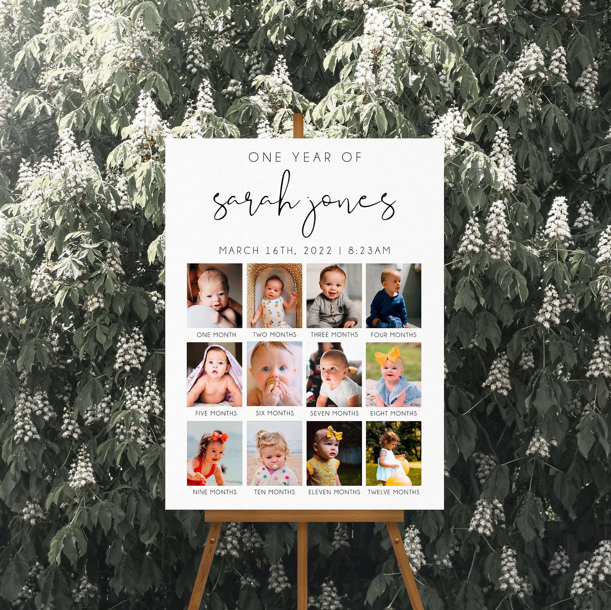 Baby's First Year Poster Template, Minimalist 1st Birthday Photo Sign ...