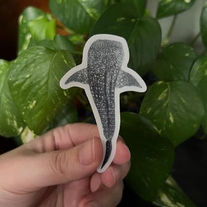 Whale Shark Clear Die Cut Sticker