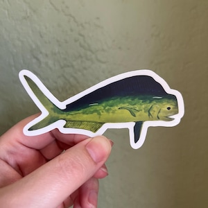 Large Mahi Mahi Dorado Fish Clear Die Cut Sticker