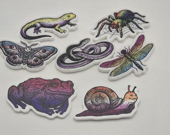 Pride Magnet — 3D Printed PETG — UV Printed — Linocut Style — LGBTQ+ Gift — Odd Mind Makes