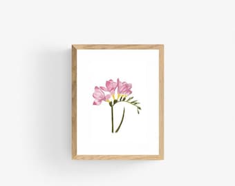 Freesia Flowers Original Watercolor, Botanical art, Flower Illustration, Botanical wall art, Flower picture