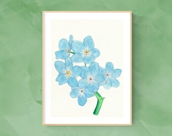 Forget-me-Not Flowers Original Watercolor, Botanical art, Flower Illustration, Botanical wall art, Flower picture, A4