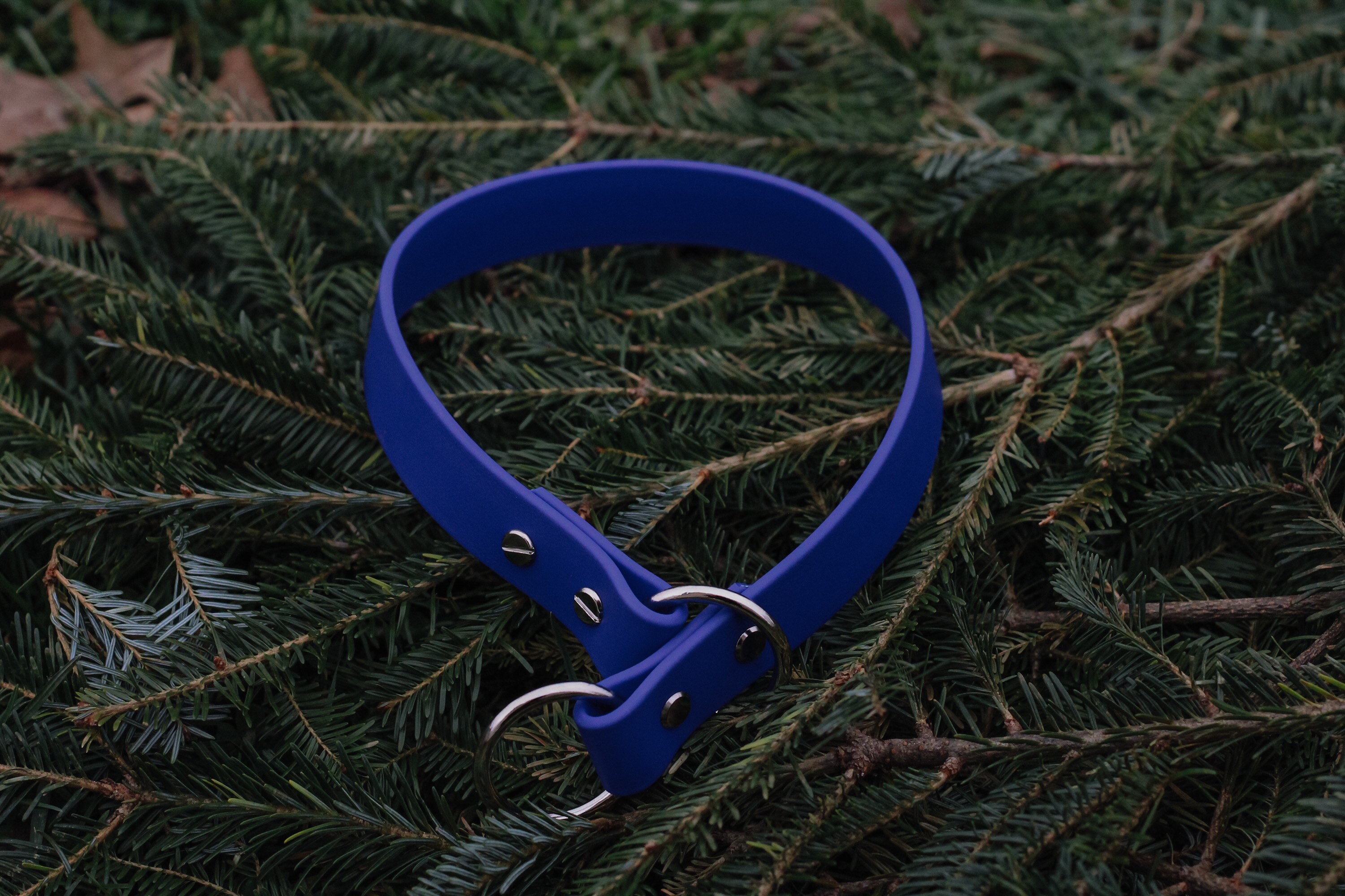 Biothane slip collar single tone slip collar waterproof Etsy