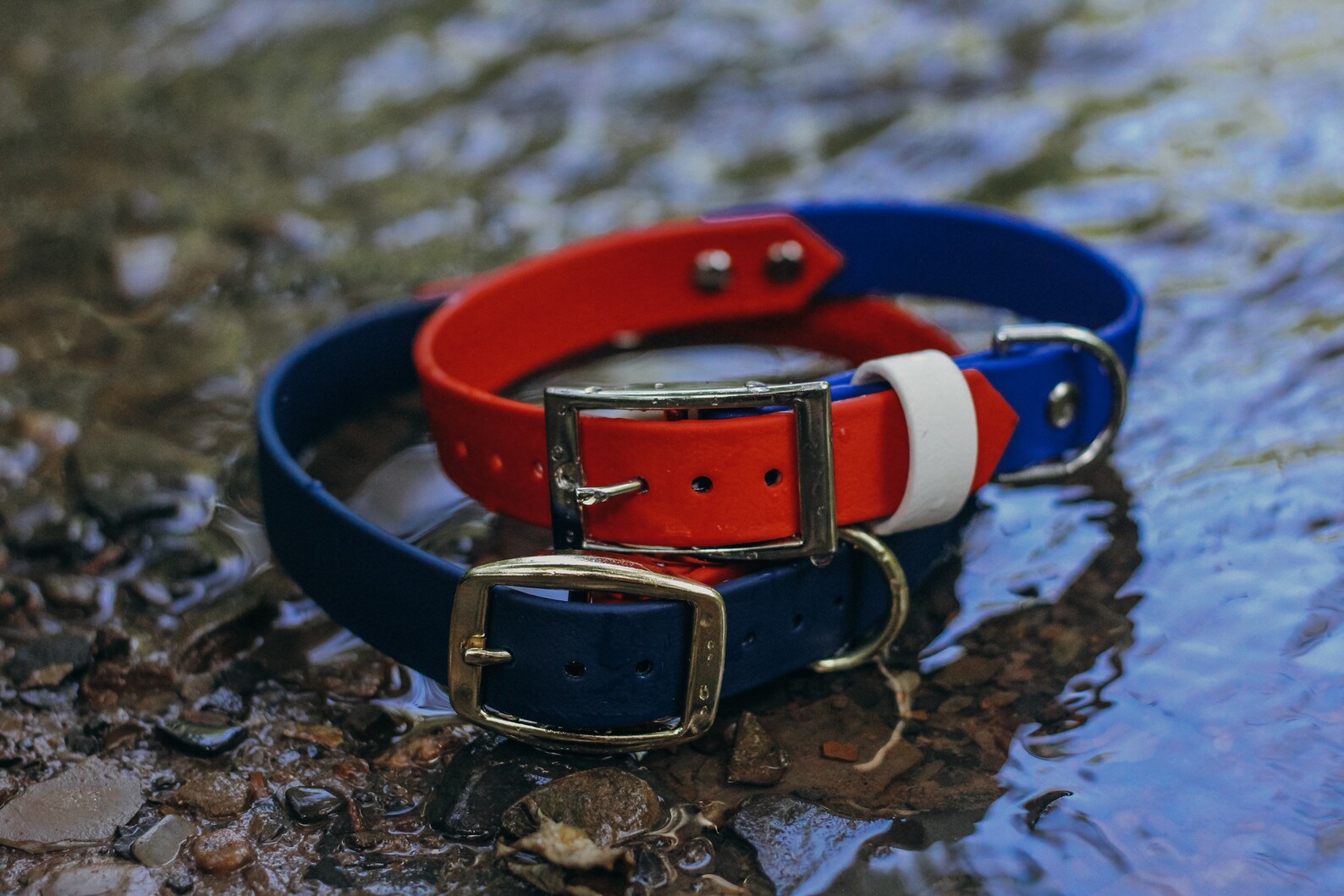 Biothane dog collar two tone biothane dog collar Etsy