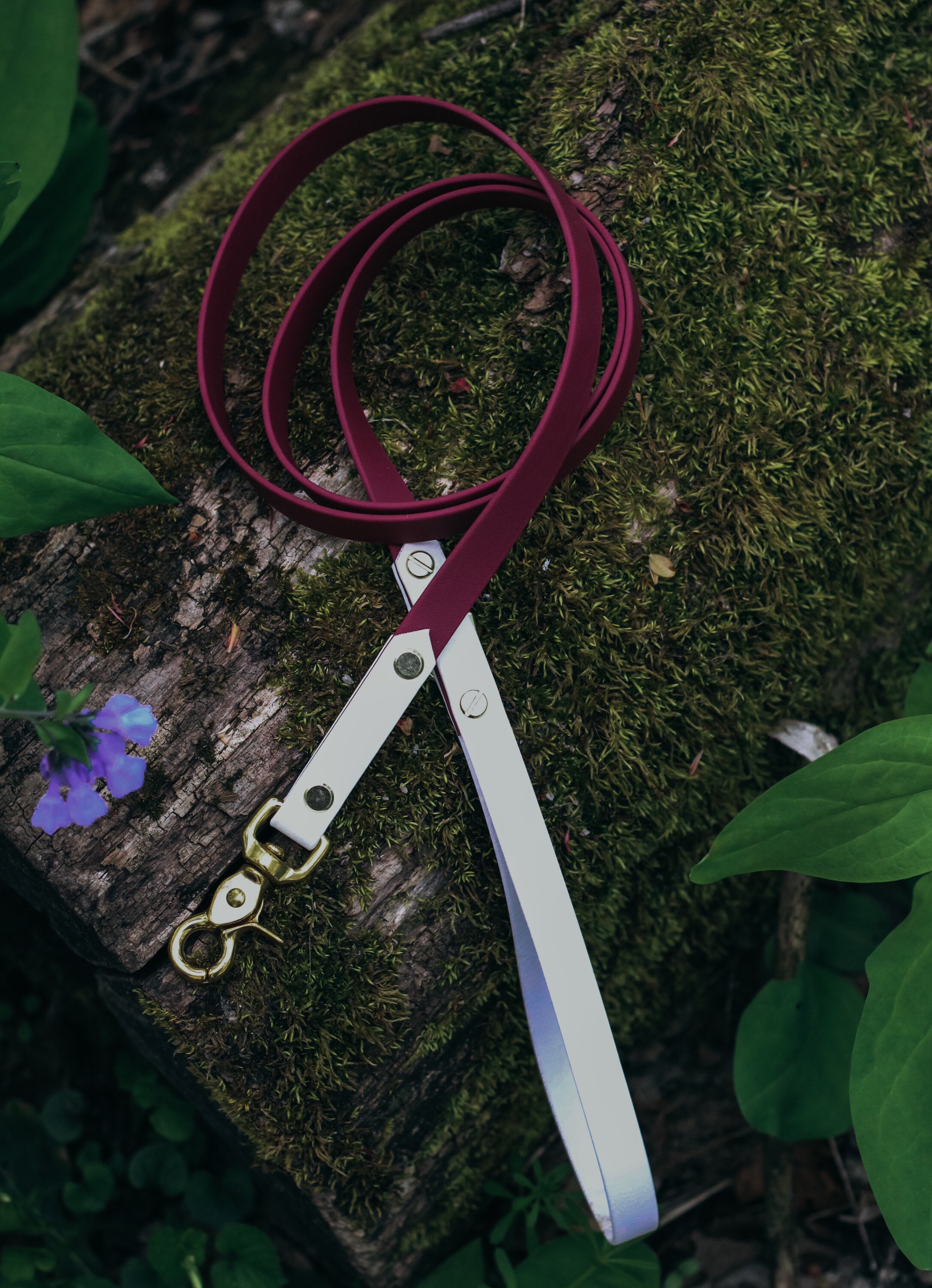 Two Tone Biothane Leash Waterproof Leash Etsy