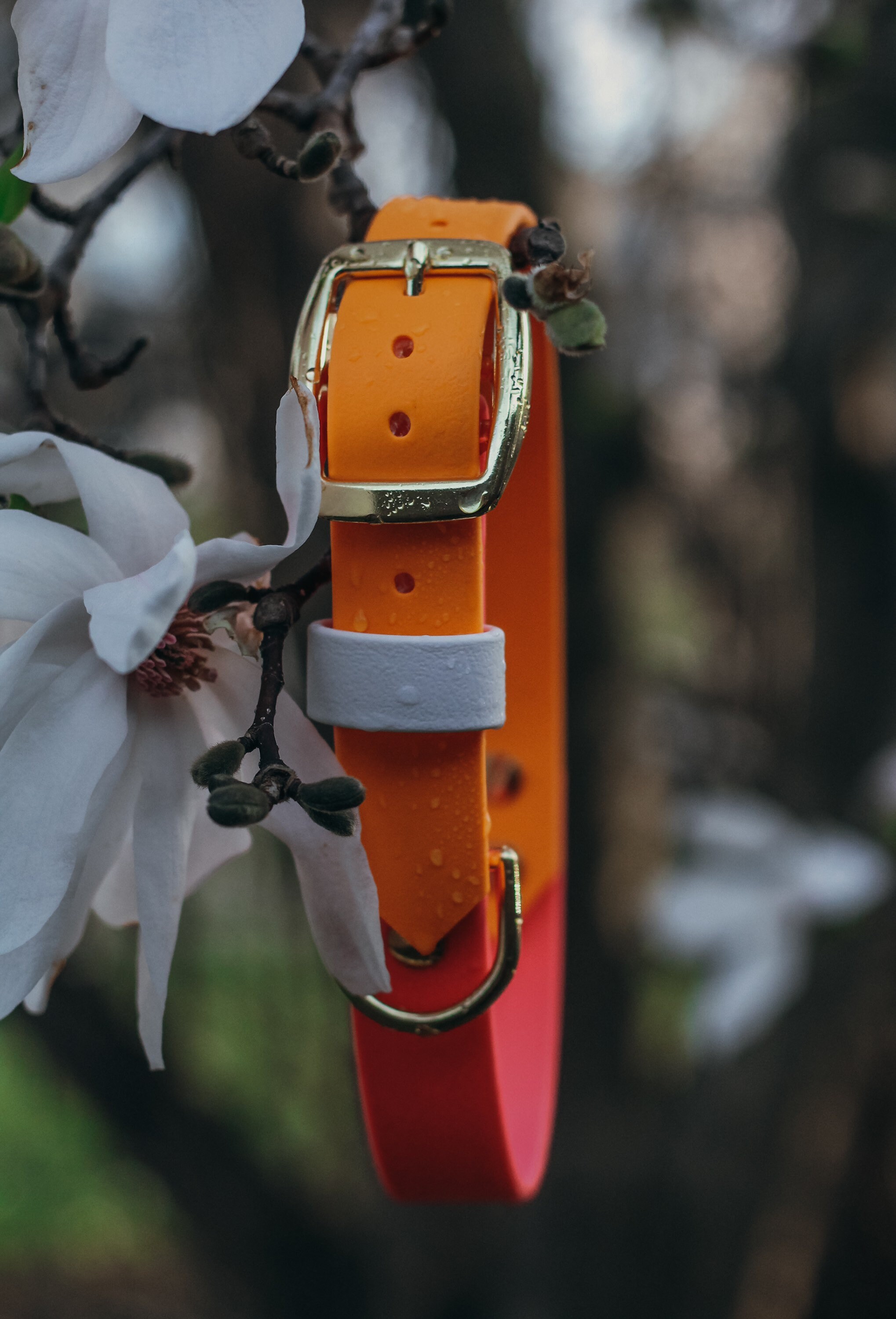 Biothane Collar Strap Keeper Waterproof Strap Keeper Etsy