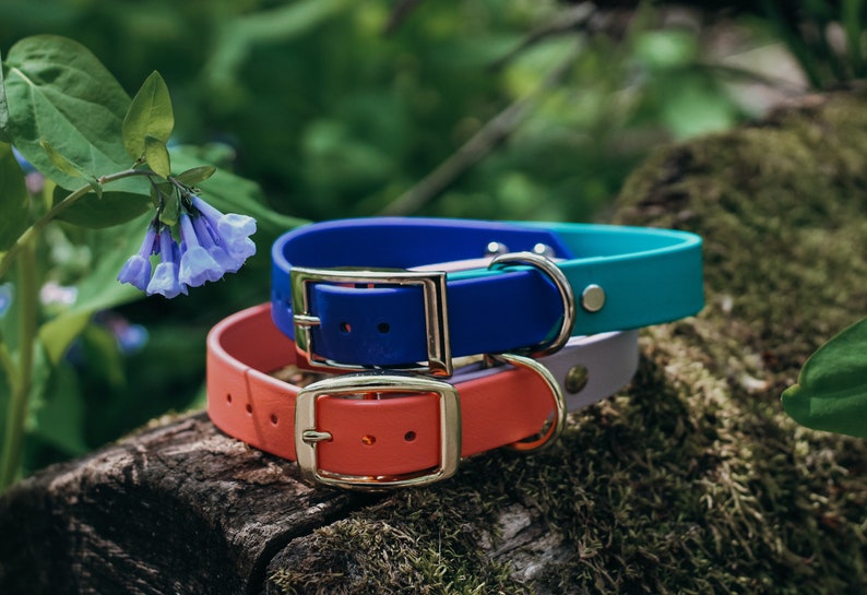 Biothane Dog Collar Two Tone Biothane Dog Collar Etsy