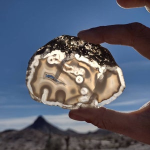 May include: A close-up of a light brown agate geode with white and gray banding. The geode is held in a hand against a blue sky background.