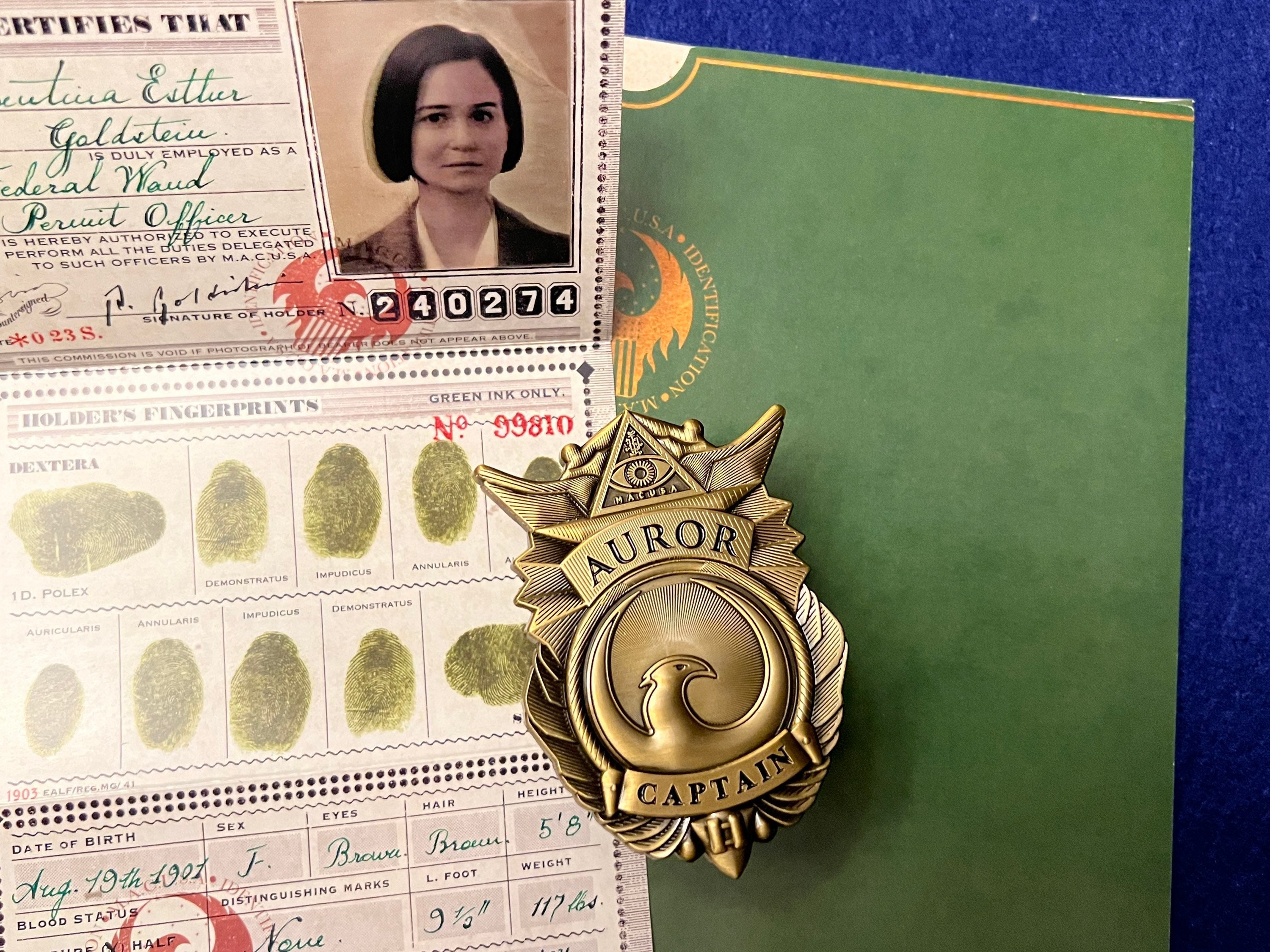Ministry Of Magic Id Card