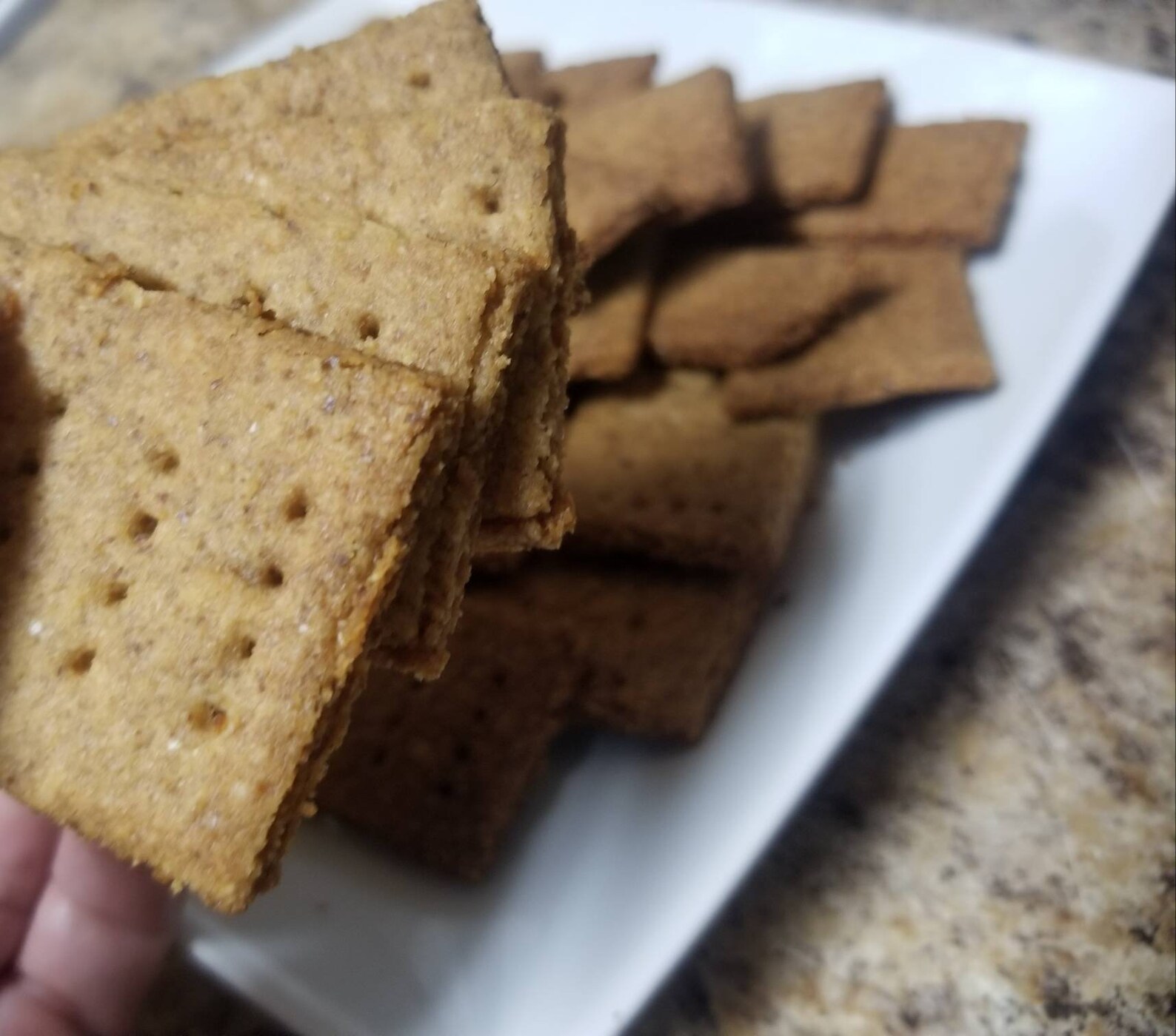 Keto Graham Crackers Low Carb Sugar Free Gluten Free Etsy