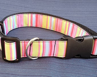 Dog Collar