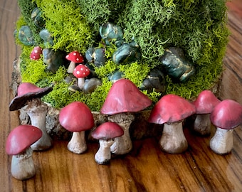 Fairy Mushrooms