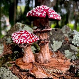 A Pair of Funghi