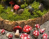 Micro Mushrooms
