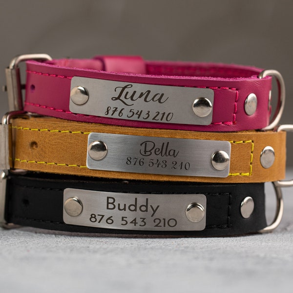 Dog Collar With Name Etsy