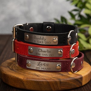 Custom Engraved Leather Dog Collar - Name and Phone Number