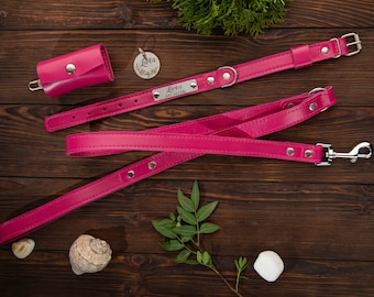 Dog Leash, Personalized Leather Dog Leash, Dog Accessories, Custom Dog Leash