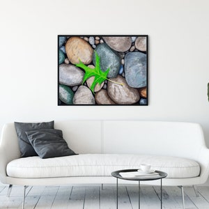 Leaf on Rocks, Watercolor Print, Realistic Rocks Painting, Beach Art ...
