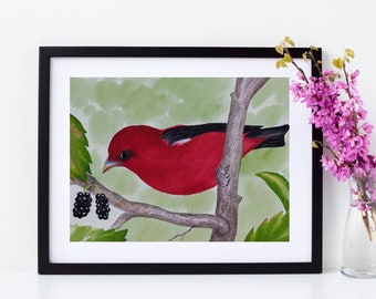 Scarlet Tanager Bird Painting, Print from Original Painting by Aida Tubridy, Red Bird, Realistic Bird, Realistic Painting, Bird Print