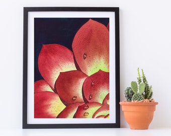 Succulent with Water drops Painting, Watercolor Print, Cactus,  Realistic Painting, Succulent Print, Nature,  Living Room Decor, Home decor