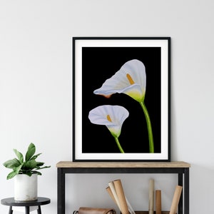 Calla Lilie Malerei, Druck von Original Aquarell, Calla Lilien Blume, Weiße Blume Druck, Mamas Geschenkidee, Büro Deko Idee
